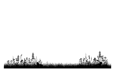 Blumenrasen