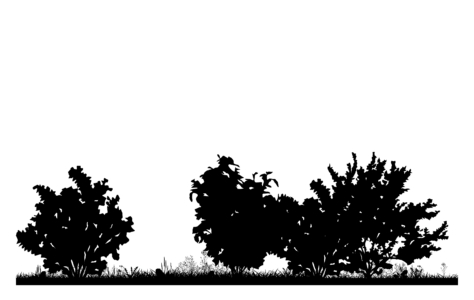 Strauchbepflanzung